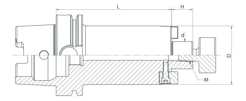 Держатель AdvaCut для торцевых фрез HSK100A, посадочный ø22мм, L=250мм; DIN 69893; AD; G2.5