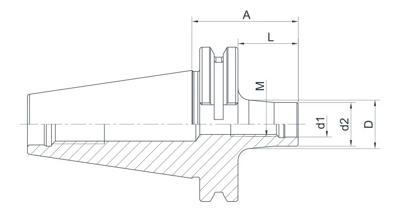 Оправка AdvaCut для сменных фрезерных головок с резьбой SK50, M10, A=69мм, L=50мм; DIN69871; AD; G6,3