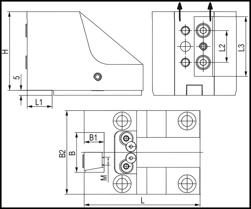 Держатель радиальных резцов 25х25 мм, BMT55 BIGLIA, H=84 мм
